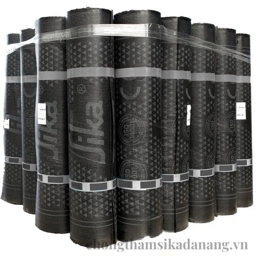 SIKASHIELD P24 S 3 MM